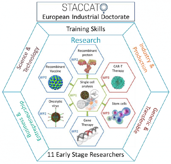 research programme organisation